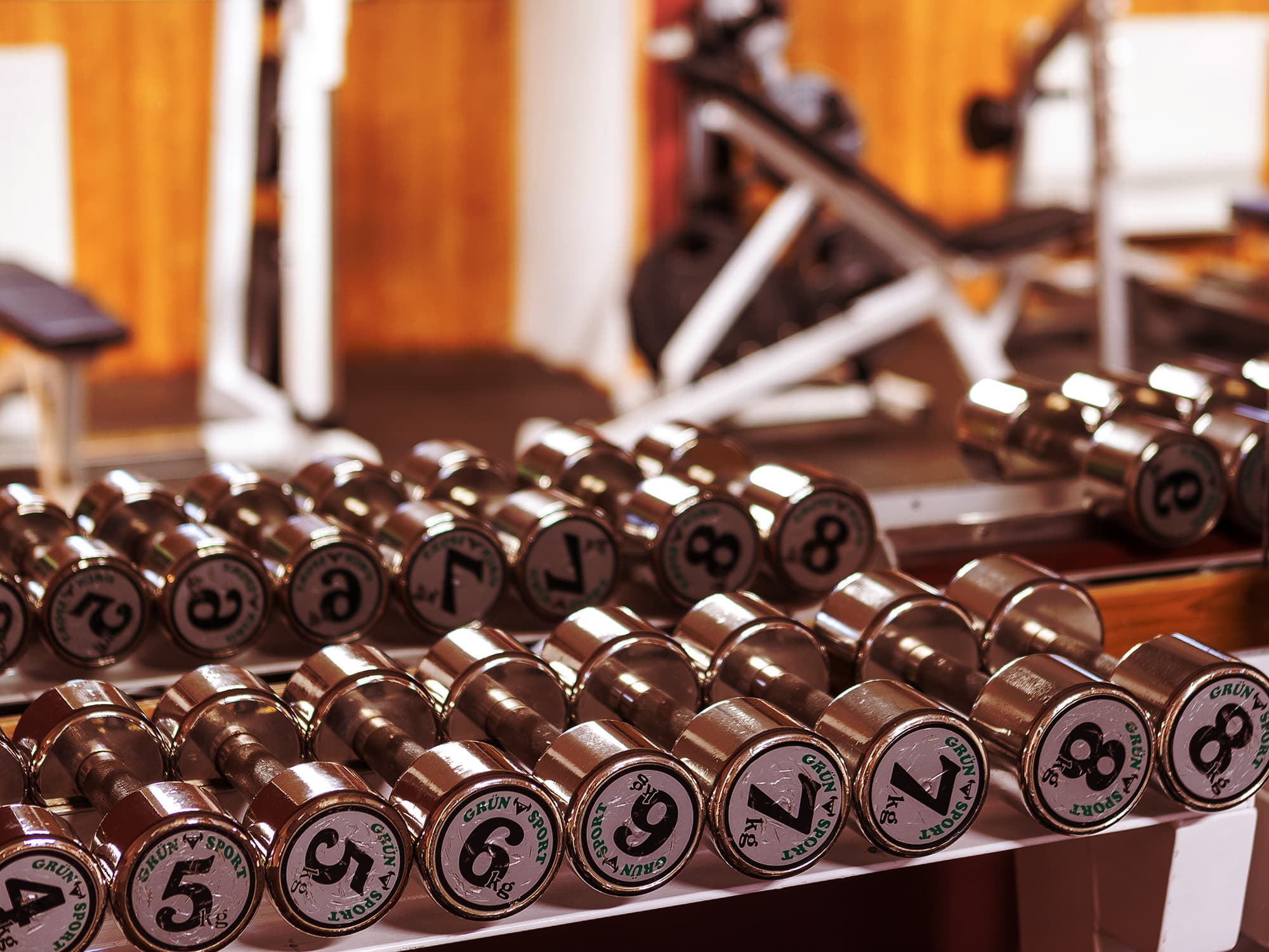 Detailed shot of a row of chrome dumbbells, neatly arranged on a rack, with clear weight markings.