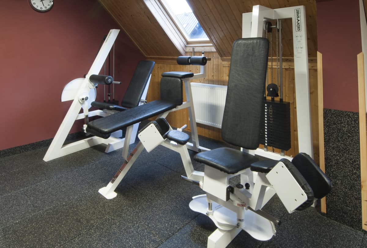 Gym with a bench for exercise and weights with a red wall.