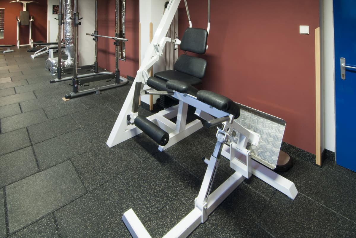 Detail of a leg exercise machine with padded seats.