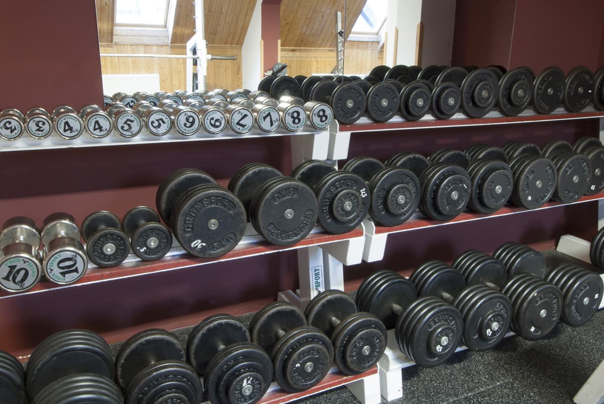 A collection of dumbbells and weights on shelves, neatly arranged by weight.